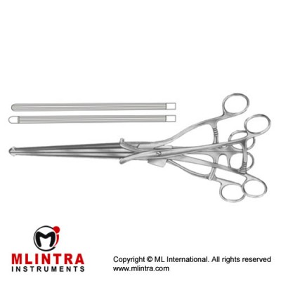 Haberer Intestinal Clamp Stainless Steel, 36 cm - 11" 